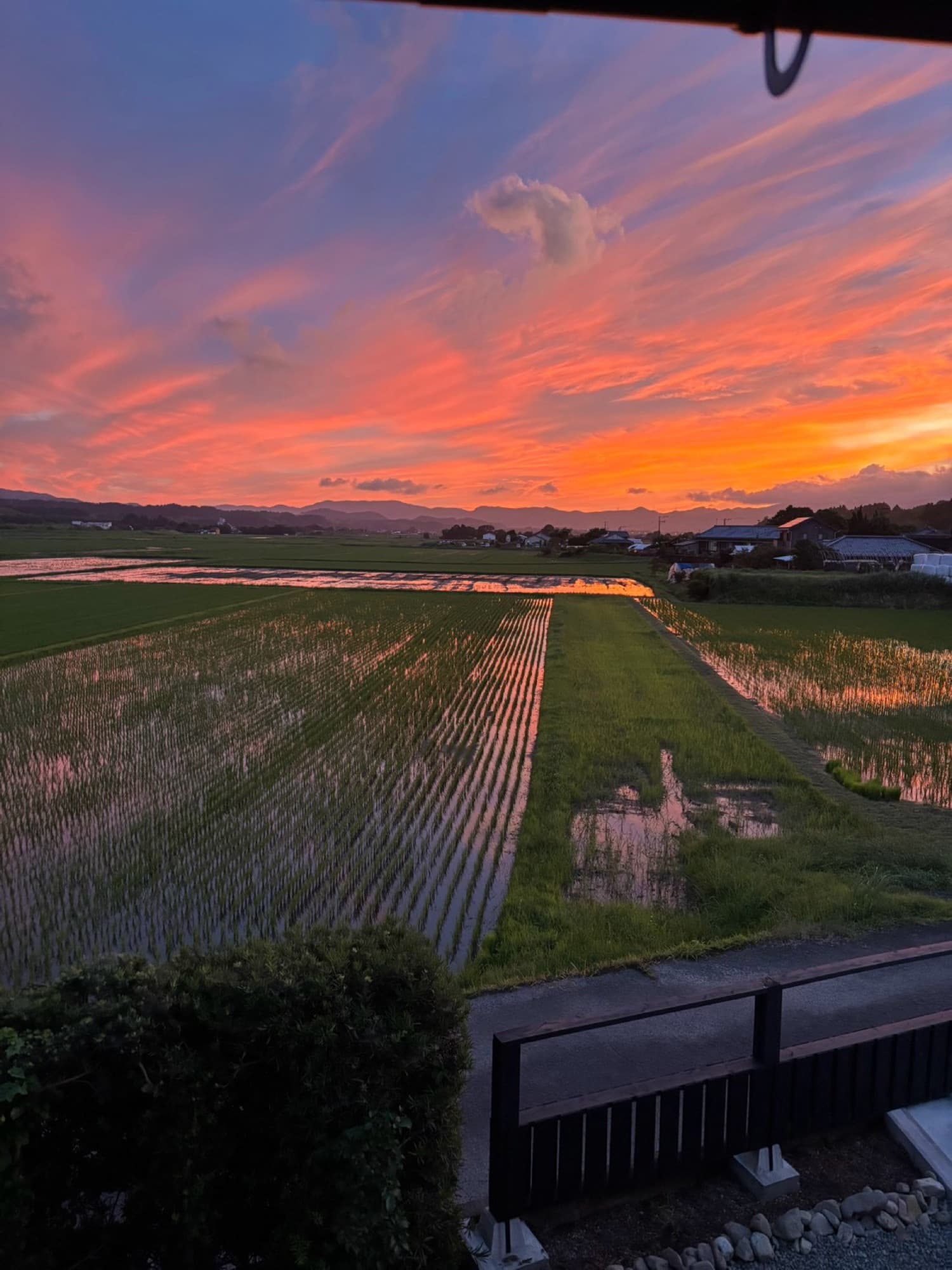 Sunset over the rice fields around Nagomi, seen from the property